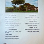 Fiestas de San Agustín