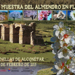 Muestra del Almendro en Flor