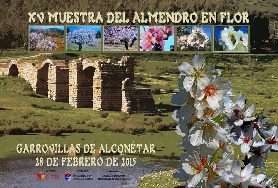 cartel-almendro-flor-2015-garrovillas