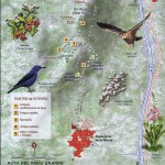 La Ruta del Risco Grande