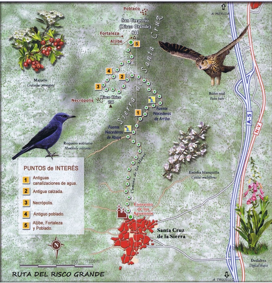 Ruta del Risco Grande