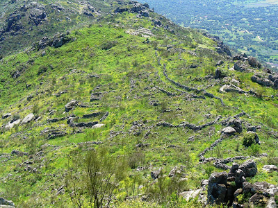 Restos poblado árabe