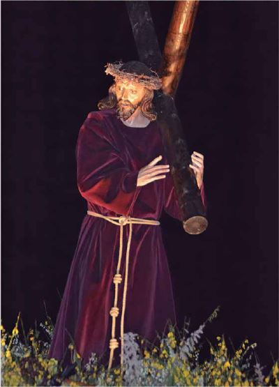 Stmo. Cristo del Amparo