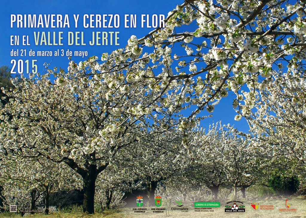 cartel-oficial-primavera-y-cerezo-en-flor-2015