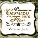 Cerezo en flor 2016