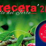 Cerecera 2015
