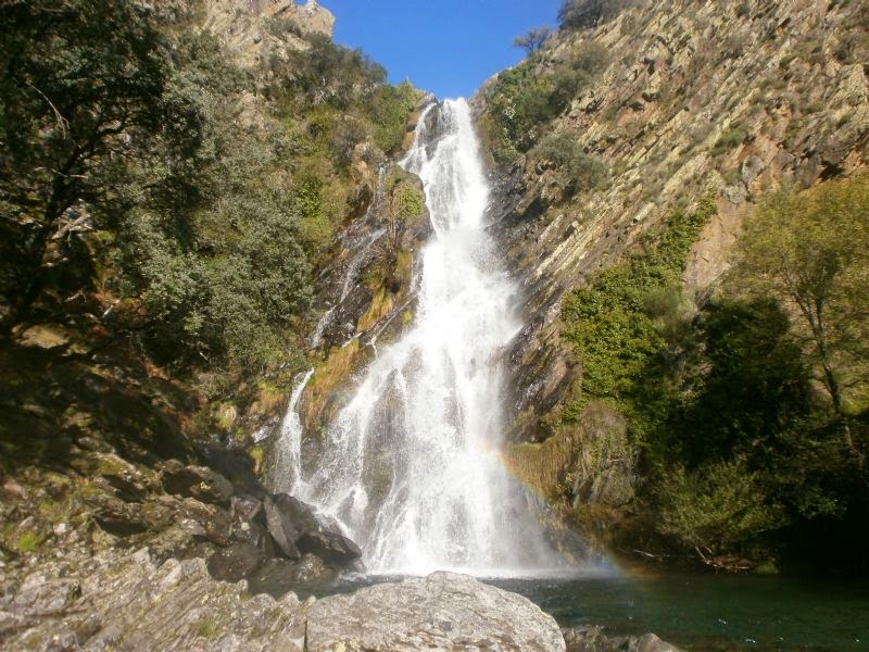 Chorrituelo de Ovejuela