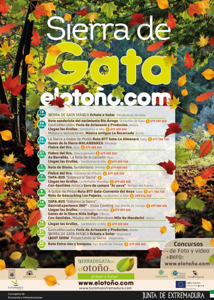 Cartel Gata es el Otoño