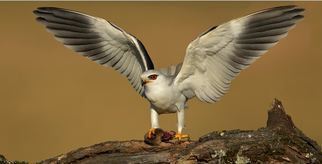 Foto de Antonio Atienza