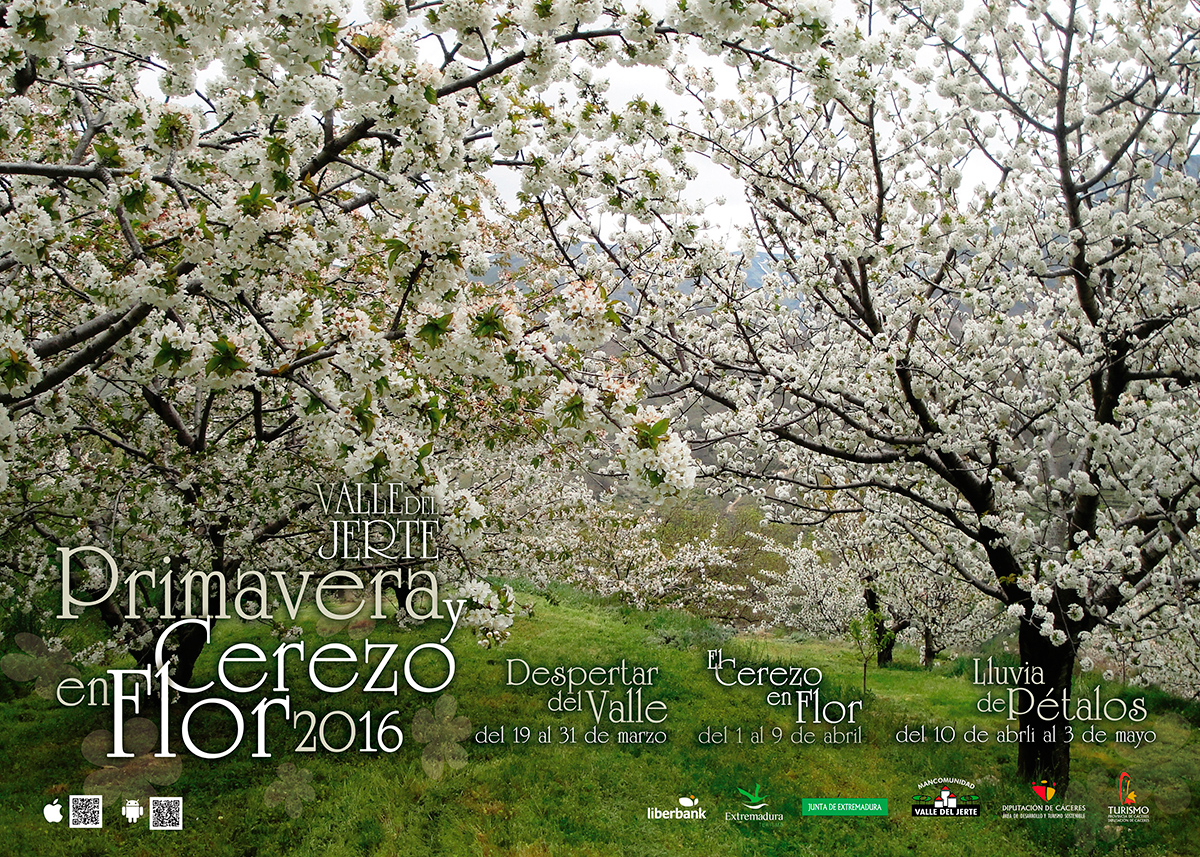 Cerezo en Flor 2016 - Valle del Jerte